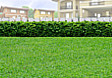 Lot for Sale in Bay-Los Banos, Laguna (Near UPLB)